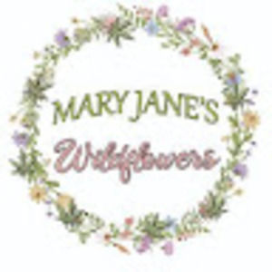 Meet your Posher, Tania